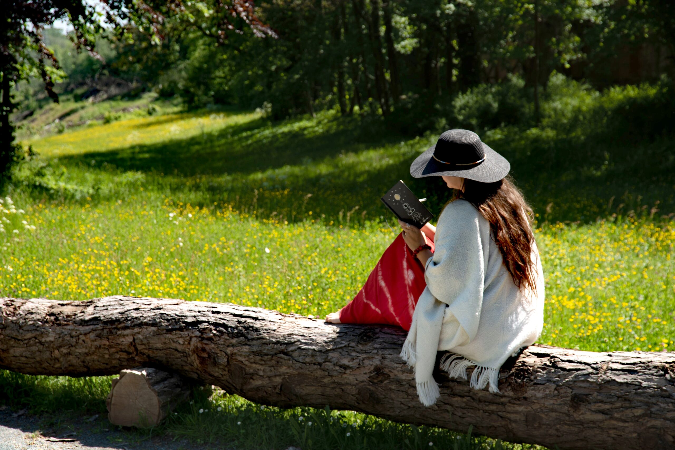 Reescribe tu historia